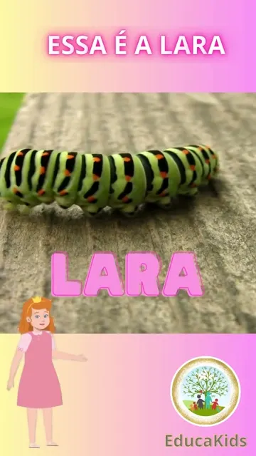🐛✨ A Incrível Transformação da Lagarta