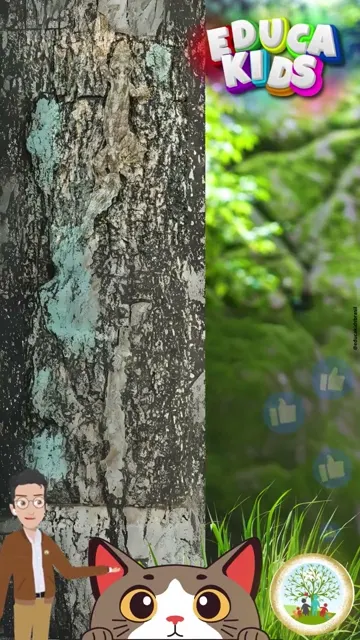 Desafio Encontre os Animais Camuflados! 🌿 M