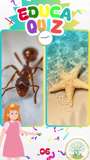 Descubra Curiosidades Incríveis com o EducaKids