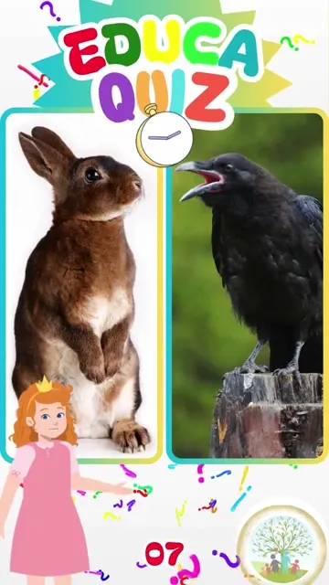 Descubra Qual Animal Usa Ferramentas para Conse
