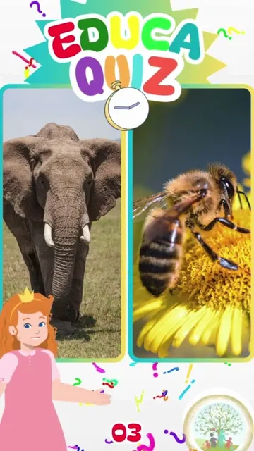 Educa Quiz - 03 Descubra Curiosidades Incrívei