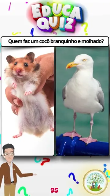 Hamster ou Gaivota Descubra Qual Animal Faz Co