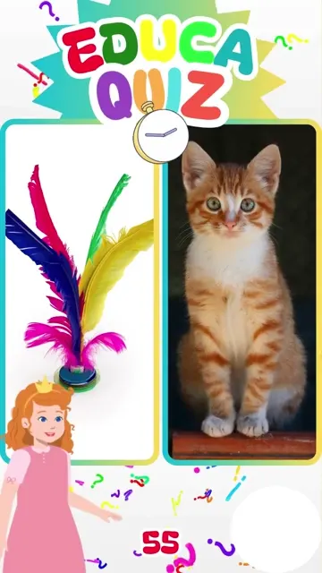 O que uma peteca e um gato têm em comum 🐱🏸 D