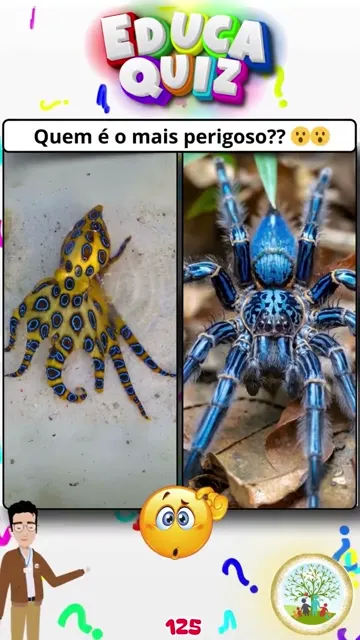 Polvo-de-Anéis-Azuis vs. Tarântula Azul 🕷️🐙