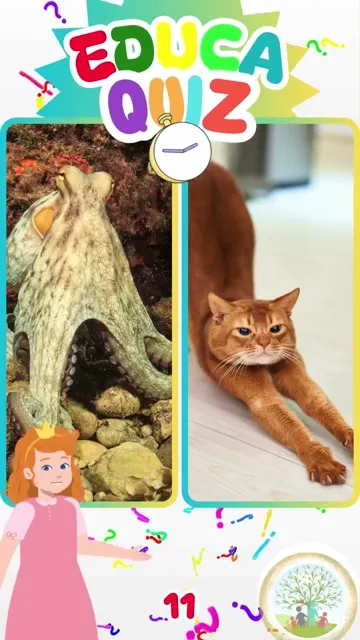Qual Animal Consegue Passar por Espaços Minúscu