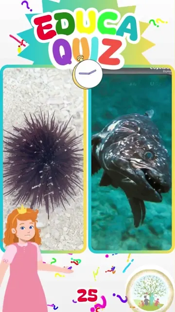 Qual Animal é Considerado um Fóssil Vivo 🐟