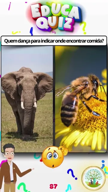 Qual Animal Faz uma Dança Para Mostrar Onde Tem