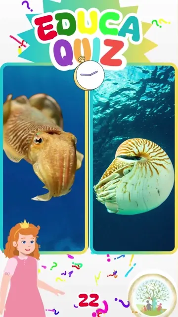 Qual Animal Muda de Cor para se Comunicar 🦑🐚