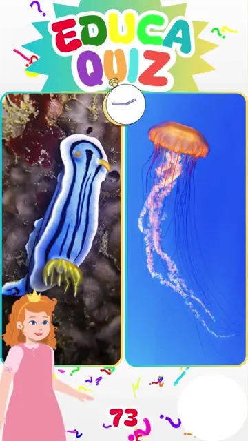 Qual Animal Não Tem Cérebro Descubra Neste Qui