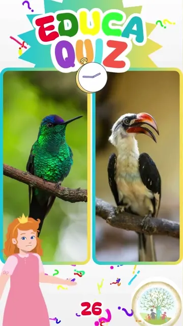 Qual Animal Pode Pairar no Ar e Voar para Trás