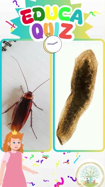 Qual Animal Pode Regenerar a Cabeça EducaQuiz
