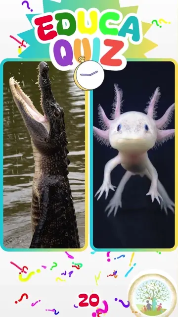 Qual Animal Pode Regenerar um Membro Perdido 🦎