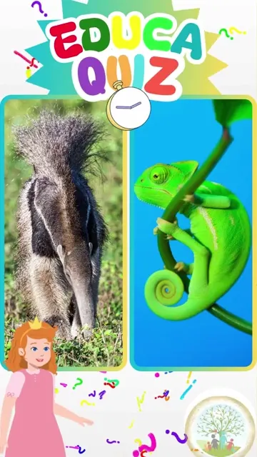Qual Animal Tem a Língua Mais Longa em Relação
