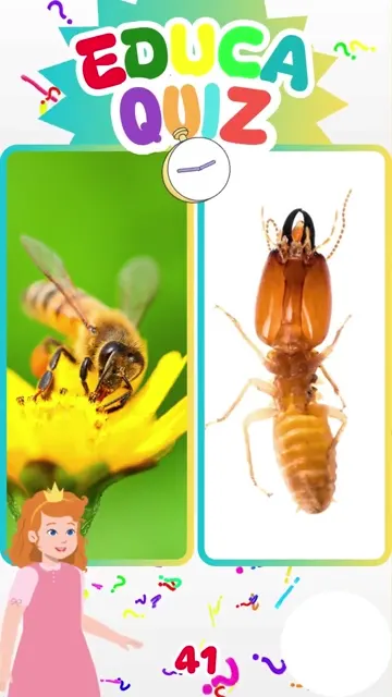 Qual Inseto Constrói Estruturas Enormes 🐜🏰 E