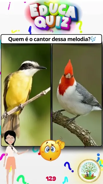 Qual Passarinho Está Cantando Descubra com Est