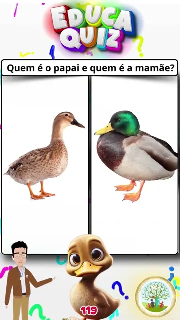Quem é o Papai e Quem é a Mamãe 🦆🦚 Quiz Di
