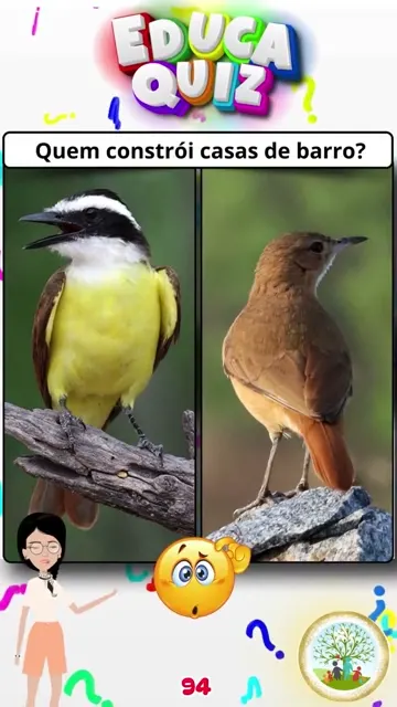 Quem é o verdadeiro João de Barro Descubra o p