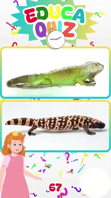 Você Conhece o Monstro de Gila EducaQuiz 67