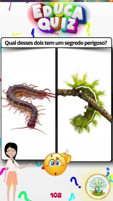 Você NUNCA Deve Tocar Nesse Bichinho! Sabe Por